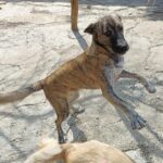 Fb img 1759042247989