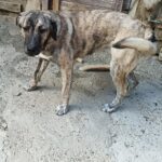 Fb img 1759042250825