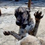 Fb img 1759042253736