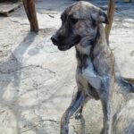 Fb img 1759042256397