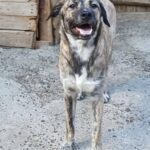 Fb img 1759042259510