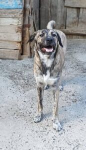 Fb img 1759042259510