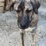 Fb img 1759042262261