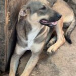 Fb img 1759124447101