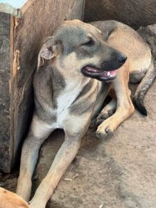 Fb img 1759124447101