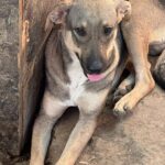 Fb img 1759124449977