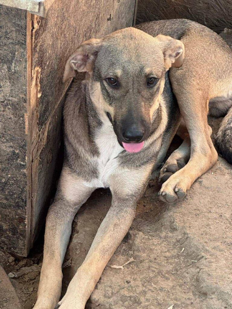 Fb img 1759124449977