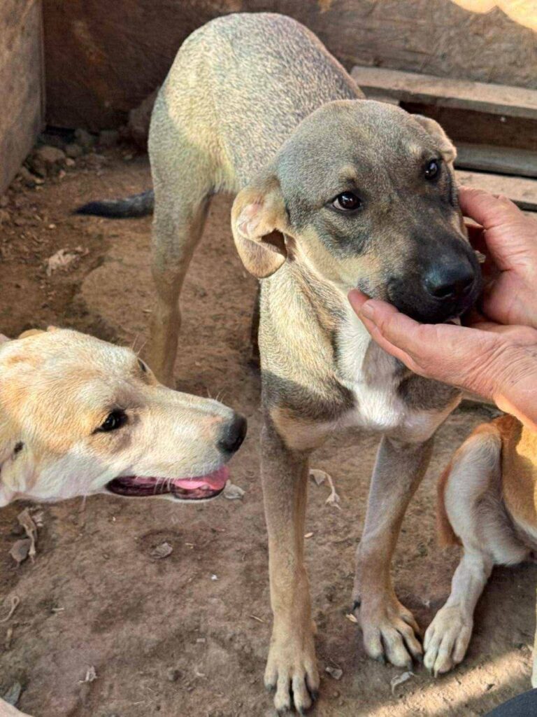 Fb img 1759124453281