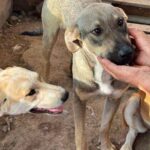 Fb img 1759124453281