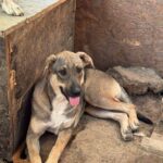 Fb img 1759124462994