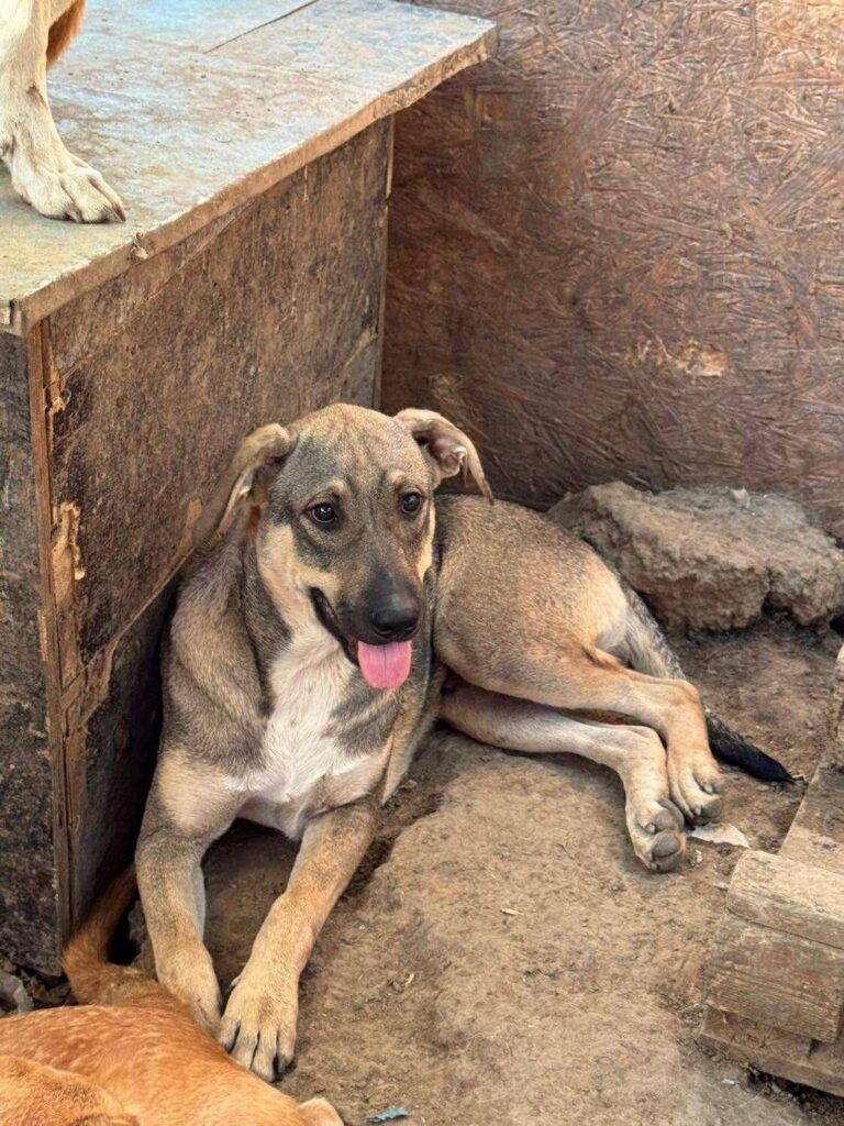 Fb img 1759124462994