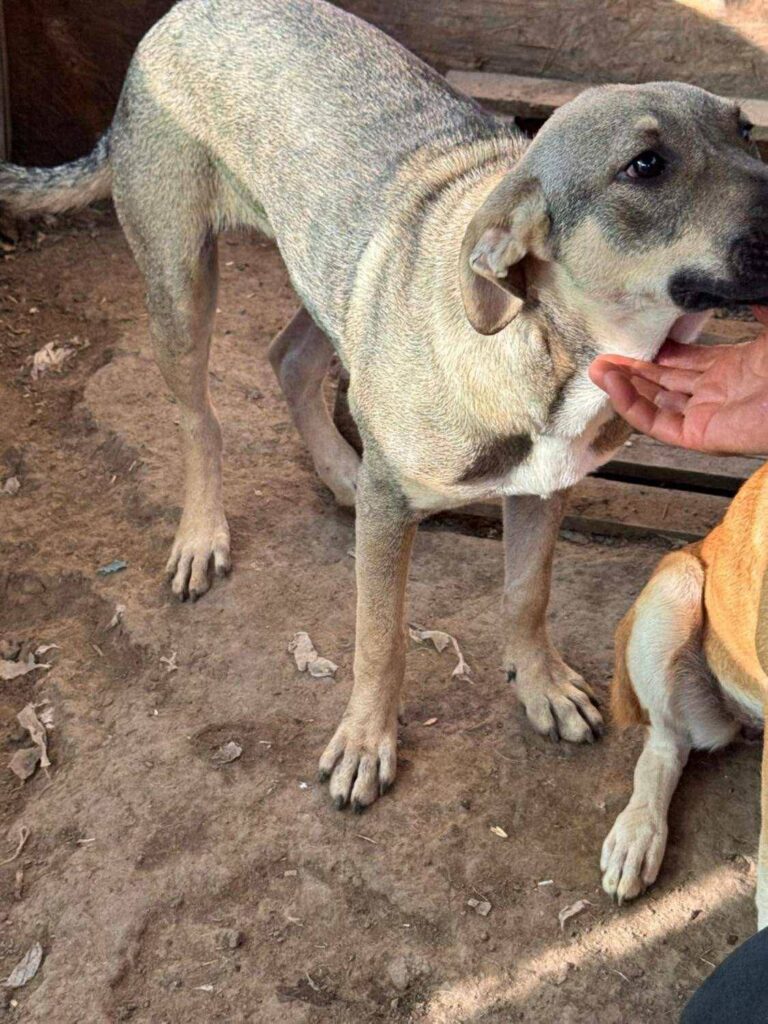 Fb img 1759124465624