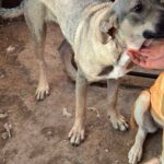 Fb img 1759124465624