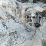 Fb img 1759214007972