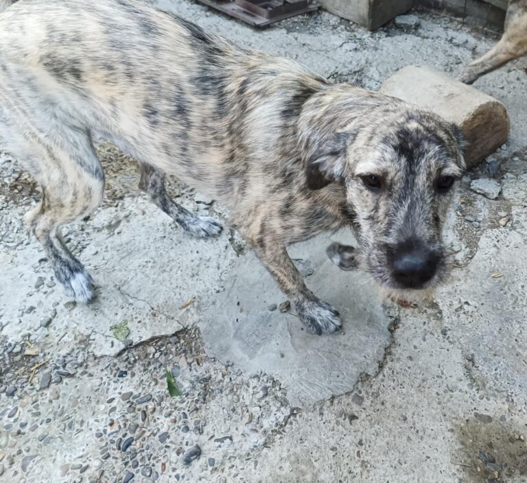 Fb img 1759214007972