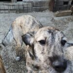 Fb img 1759214011301