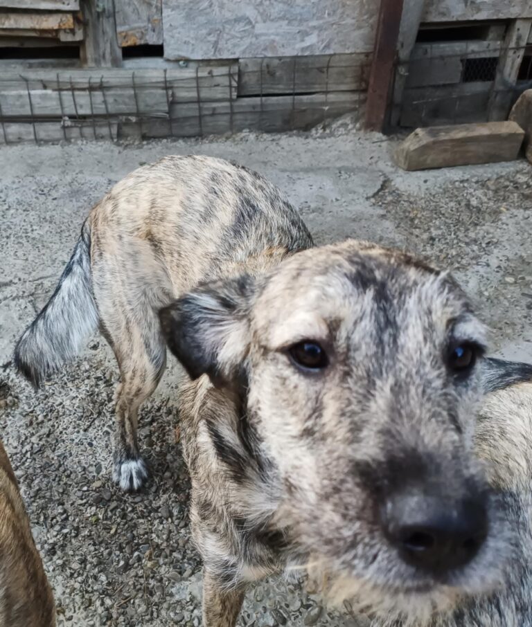 Fb img 1759214011301