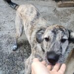 Fb img 1759214013572