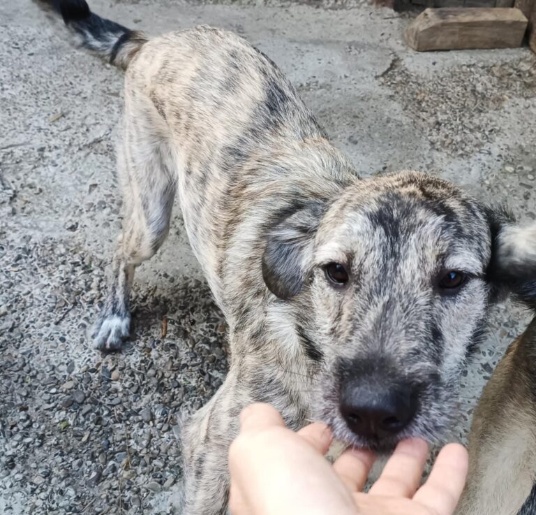 Fb img 1759214013572