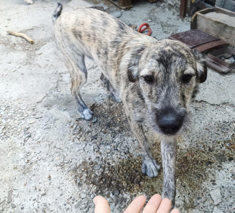 Fb img 1759214018597