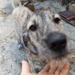 Fb img 1759214023226