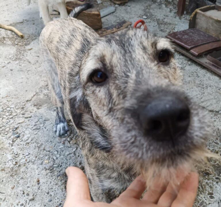 Fb img 1759214023226