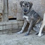 Fb img 1759214025828