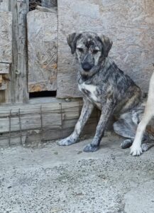 Fb img 1759214025828