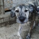 Fb img 1759214029008