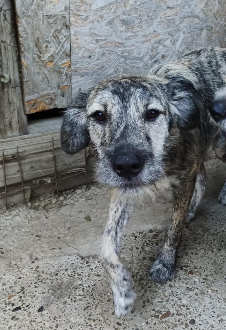 Fb img 1759214029008