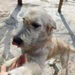 Messenger creation 07dfd7c2 0c55 45a0 93bd 5a68bf61d439