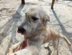 Messenger creation 07dfd7c2 0c55 45a0 93bd 5a68bf61d439