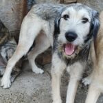 Messenger creation 07ebc8ef 7198 4397 8608 50b44d496993