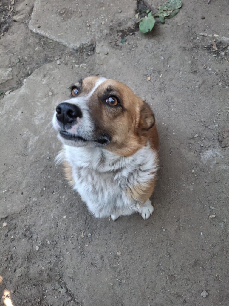 Messenger creation 0971ad9d f863 4b06 91df 8c1042ee48ce