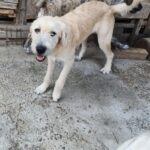 Messenger creation 09a3acce 6b9e 4435 893d 05951cf7c985