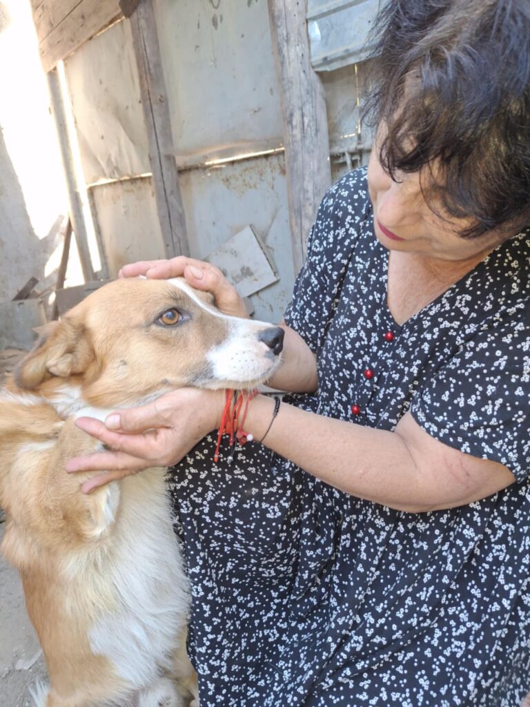 Messenger creation 09df0d30 4bd2 48ff 9c1d 3405c2e833f0