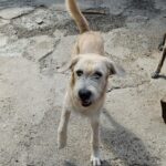 Messenger creation 15376af2 ac72 43e0 bc8e bccc288f5b51