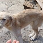 Messenger creation 1e04d1de cc4c 452c a1ad 12afd0477d4c