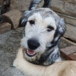 Messenger creation 252f54d6 0aa3 484d ace4 f8b749eca4f4