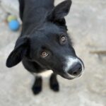 Messenger creation 2b0f344d 1fd4 44c6 9886 ea31f45878bd