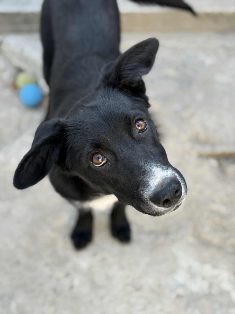 Messenger creation 2b0f344d 1fd4 44c6 9886 ea31f45878bd