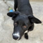 Messenger creation 40486f21 77cd 473a bc2c 556ad312f46c