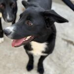 Messenger creation 5f663d3d 45dd 48dd a6ee 54cb7a6bae46