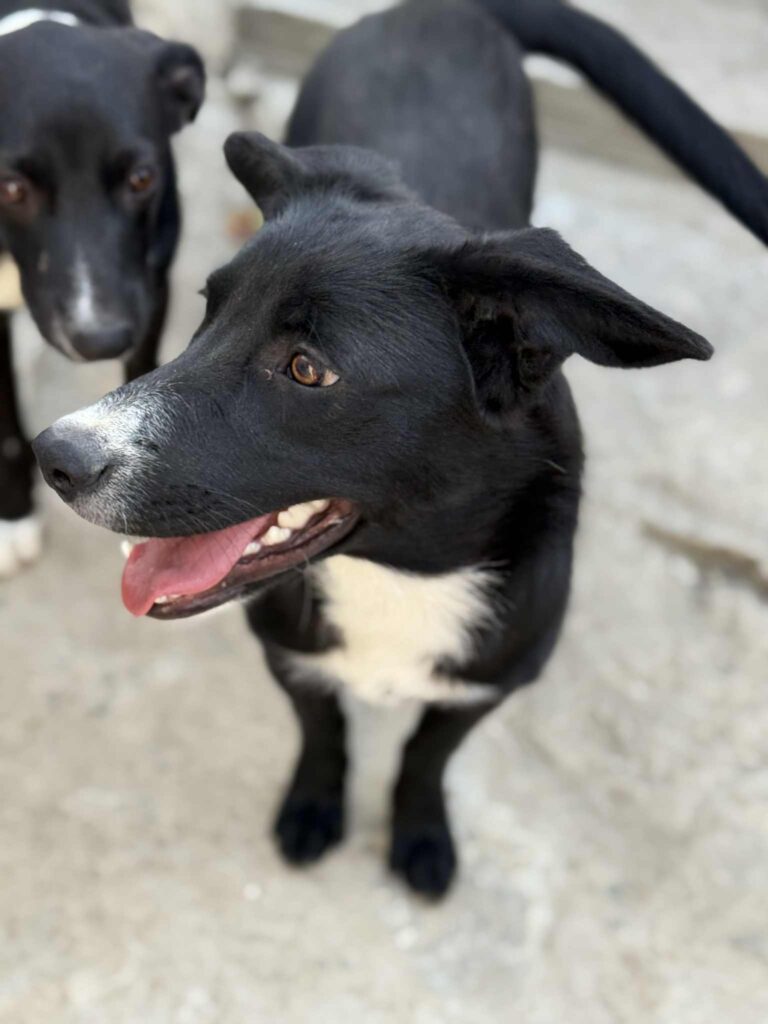 Messenger creation 5f663d3d 45dd 48dd a6ee 54cb7a6bae46