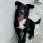 Messenger creation 7398f4a9 5d30 44c1 9804 a7b547c0164f