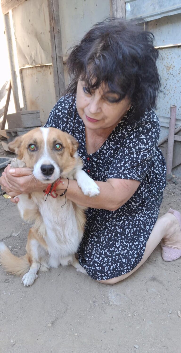 Messenger creation 798153ec 8301 4973 b3a8 eb8eaa509f80