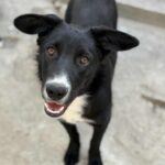 Messenger creation 91add907 8266 4ef4 b7a3 a6988f7dad99