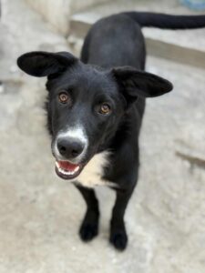 Messenger creation 91add907 8266 4ef4 b7a3 a6988f7dad99