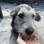 Messenger creation 93c8a480 34fb 4131 9dd6 e6cbed9def96