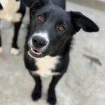 Messenger creation a4446d6e b6be 43a6 b795 c01e5455f58e